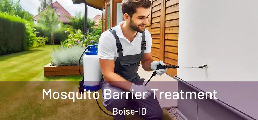  Mosquito Barrier Treatment Boise-ID