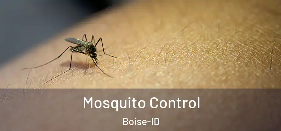  Mosquito Control Boise-ID