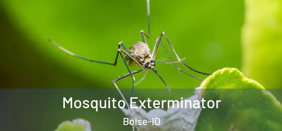  Mosquito Exterminator Boise-ID