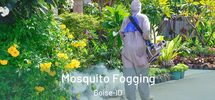  Mosquito Fogging Boise-ID