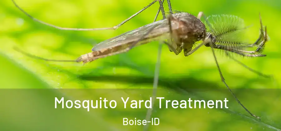  Mosquito Yard Treatment Boise-ID
