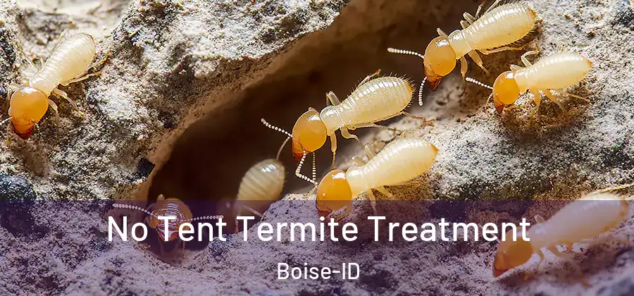  No Tent Termite Treatment Boise-ID