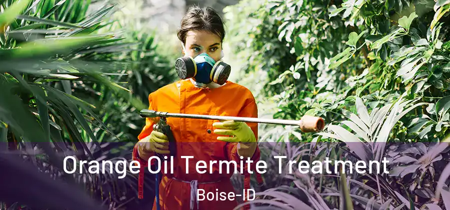  Orange Oil Termite Treatment Boise-ID