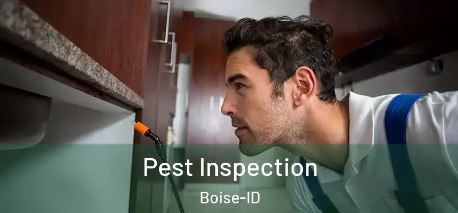  Pest Inspection Boise-ID