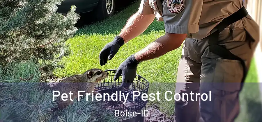  Pet Friendly Pest Control Boise-ID