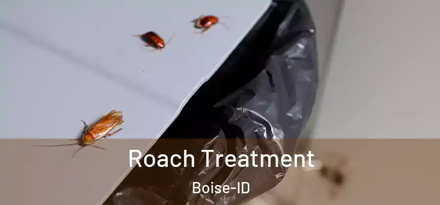  Roach Treatment Boise-ID