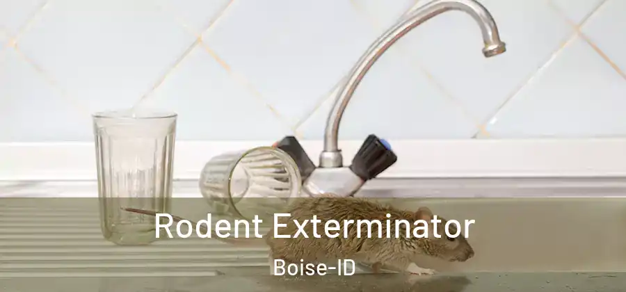  Rodent Exterminator Boise-ID