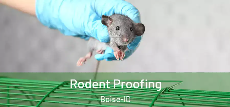  Rodent Proofing Boise-ID