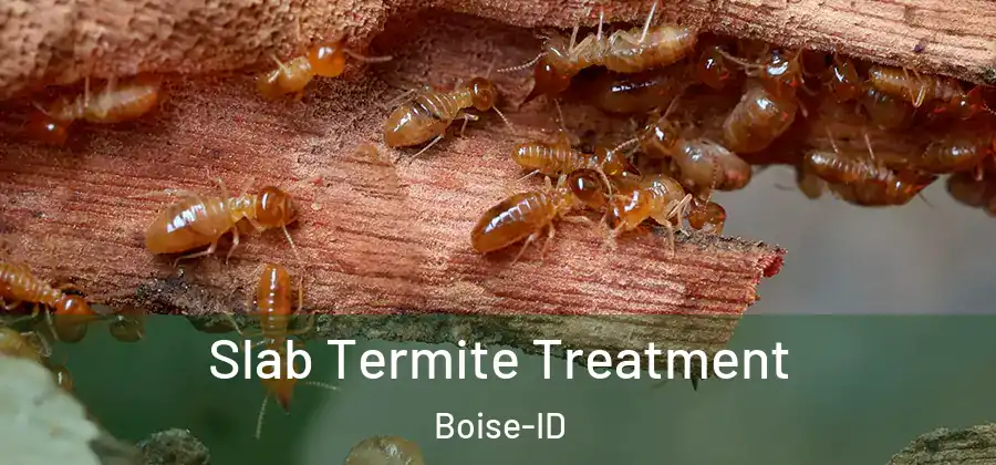  Slab Termite Treatment Boise-ID
