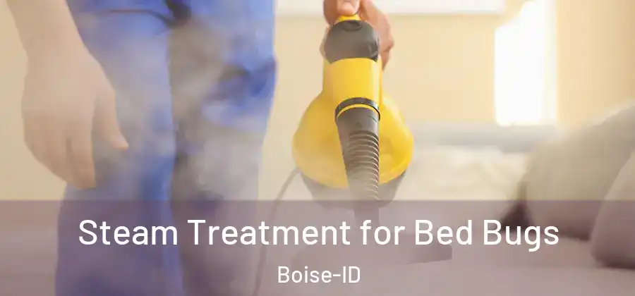  Steam Treatment for Bed Bugs Boise-ID