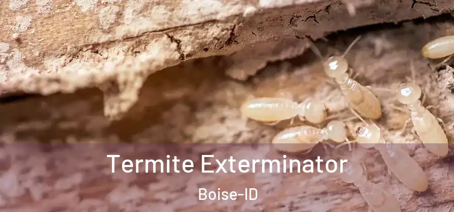  Termite Exterminator Boise-ID
