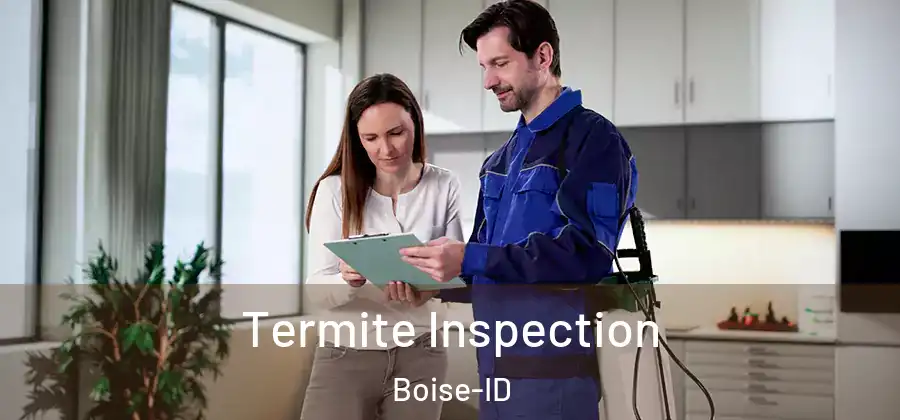  Termite Inspection Boise-ID