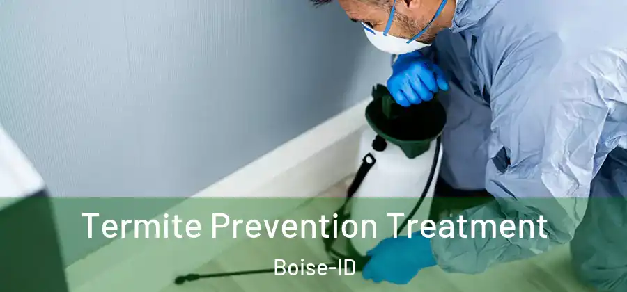  Termite Prevention Treatment Boise-ID