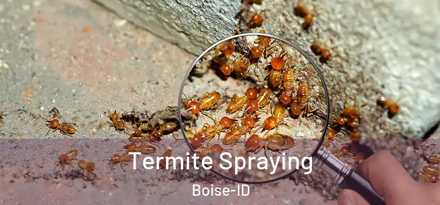  Termite Spraying Boise-ID