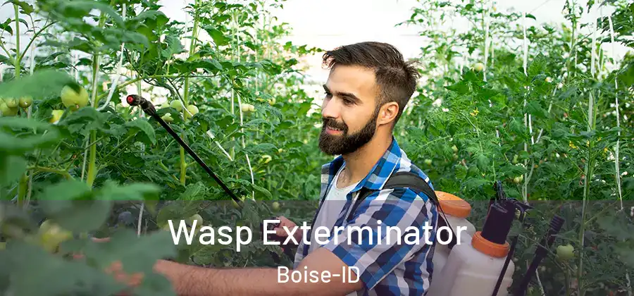  Wasp Exterminator Boise-ID