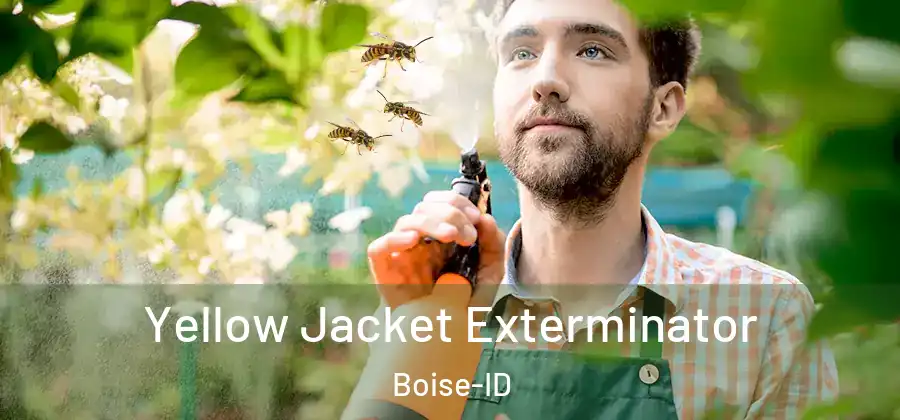  Yellow Jacket Exterminator Boise-ID
